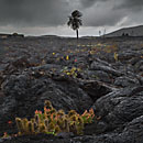 Foto Lanzarote 2013