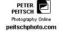 Peitsch Logo